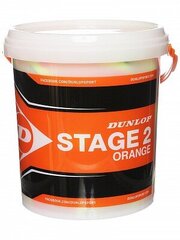 Āra tenisa bumbiņas Dunlop Stage 2 Orange, 60 gab cena un informācija | Dunlop Teniss | 220.lv