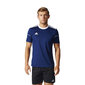 Futbola krekls vīriešiem Adidas Squadra 17, zils cena un informācija | Futbola formas un citas preces | 220.lv