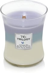 WoodWick ароматическая свеча Trilogy Calming Retreat, 275 г цена и информация | Подсвечники, свечи | 220.lv