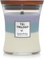 WoodWick aromātiska svece Trilogy Calming Retreat, 275 g cena un informācija | Sveces un svečturi | 220.lv