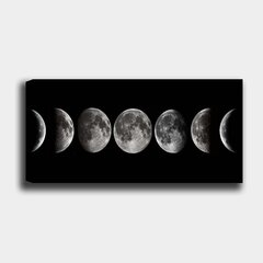 Репродукция на холсте Луна, 30x80 см цена и информация | Картины | 220.lv