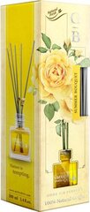 GARDEN BOTANICA - SUMMER 100ml. Тростниковые палочки из натуральных эссенций цена и информация | Ароматы для дома | 220.lv