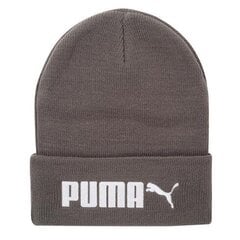 Cepure Puma Ess Beanie No. 2 Castlerock 02288703, brūna cena un informācija | Sieviešu cepures | 220.lv