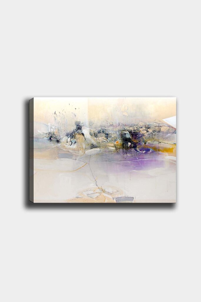 Reprodukcija uz audekla Abstrakcija, 50x70 cm цена и информация | Gleznas | 220.lv