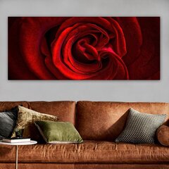 Репродукция на холсте Роза, 50x120 см цена и информация | Картины | 220.lv