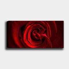Репродукция на холсте Роза, 50x120 см цена и информация | Картины | 220.lv