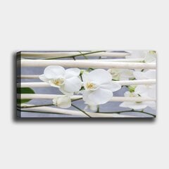 Reprodukcija uz audekla Orhidejas, 50x120 cm cena un informācija | Gleznas | 220.lv