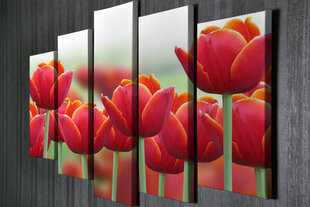 Репродукция из пяти частей Тюльпаны цена и информация | Картины | 220.lv