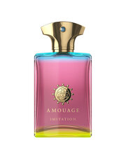 Amouage Imitation For Men EDP для мужчин 100 мл цена и информация | Мужские духи | 220.lv