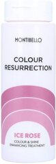 Montibello Colour Resurrection Ice Rose tonējošs matu kondicionieris cena un informācija | Matu kondicionieri, balzāmi | 220.lv