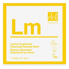 Увлажняющий бальзам Lemon Superfood Botanicals (60 мл) цена и информация | Кремы, лосьоны для тела | 220.lv