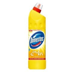 Tualetes tīrīšanas līdzeklis WC DOMESTOS Citrus, 750ml kaina ir informacija | Tīrīšanas līdzekļi | 220.lv