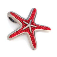 Подвеска Bico "Ocean Celeste" Pave Star Fish с кристаллами (PV8 красный) цена и информация | Украшения на шею | 220.lv