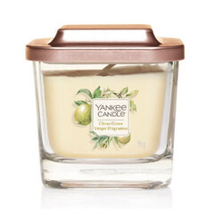 Aromātiskā svece Yankee Candle Citrus Grove 96 g cena un informācija | Sveces un svečturi | 220.lv