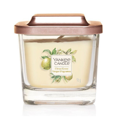 Aromātiskā svece Yankee Candle Citrus Grove 96 g цена и информация | Sveces un svečturi | 220.lv