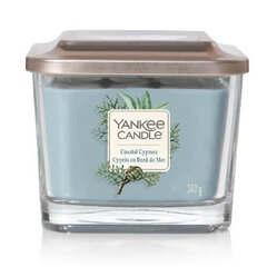 Ароматическая свеча Yankee Candle Coastal Cypress 347 г цена и информация | Подсвечники, свечи | 220.lv