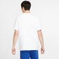 Sporta T-krekls vīriešiem Nike Tee Just Do It Swoosh M AR5006 100, balts cena un informācija | Sporta apģērbs vīriešiem | 220.lv