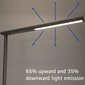 Grīdas lampa Maul LED Jet cena un informācija | Stāvlampas | 220.lv