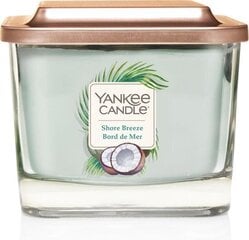 Aromātiskā svece Yankee Candle Shore Breeze 347g цена и информация | Подсвечники, свечи | 220.lv