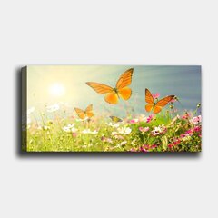Репродукция на холсте Луг c бабочками, 30x80 см цена и информация | Картины | 220.lv