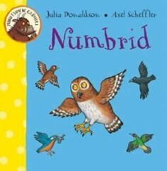 Minu esimene Grühvel. Numbrid, Julia Donaldson  цена и информация | Книги для малышей | 220.lv