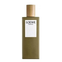 Tualetes ūdens Loewe Esencia EDT (100 ml) cena un informācija | Vīriešu smaržas | 220.lv