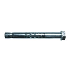 Enkurs FSA S 10/10 10x6020 mm ar skrūvi цена и информация | Крепежные изделия | 220.lv