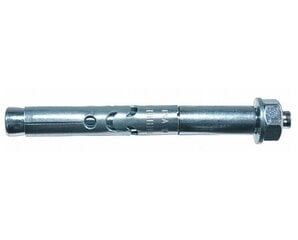 Ankeris su veržle FSA B 8/15 8x65 mm цена и информация | Крепежные изделия | 220.lv