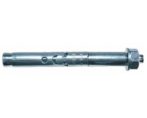 Ankeris su veržle FSA B 12/25 12x96 mm цена и информация | Крепежные изделия | 220.lv