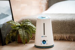 Oromed air humidifier ORO-2022 цена и информация | Увлажнители воздуха | 220.lv