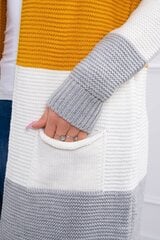 Džemperis 19600 cena un informācija | Sieviešu džemperi | 220.lv