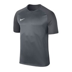 Sporta T-krekls zēniem Nike Dry Trophy III JR 881484-065, 49770 cena un informācija | Zēnu krekli | 220.lv