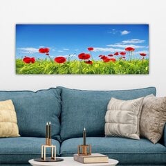 Reprodukcija uz audekla Magones, 30x80 cm цена и информация | Картины | 220.lv