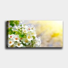 Репродукция на холсте Цветы, 30x80 см цена и информация | Картины | 220.lv