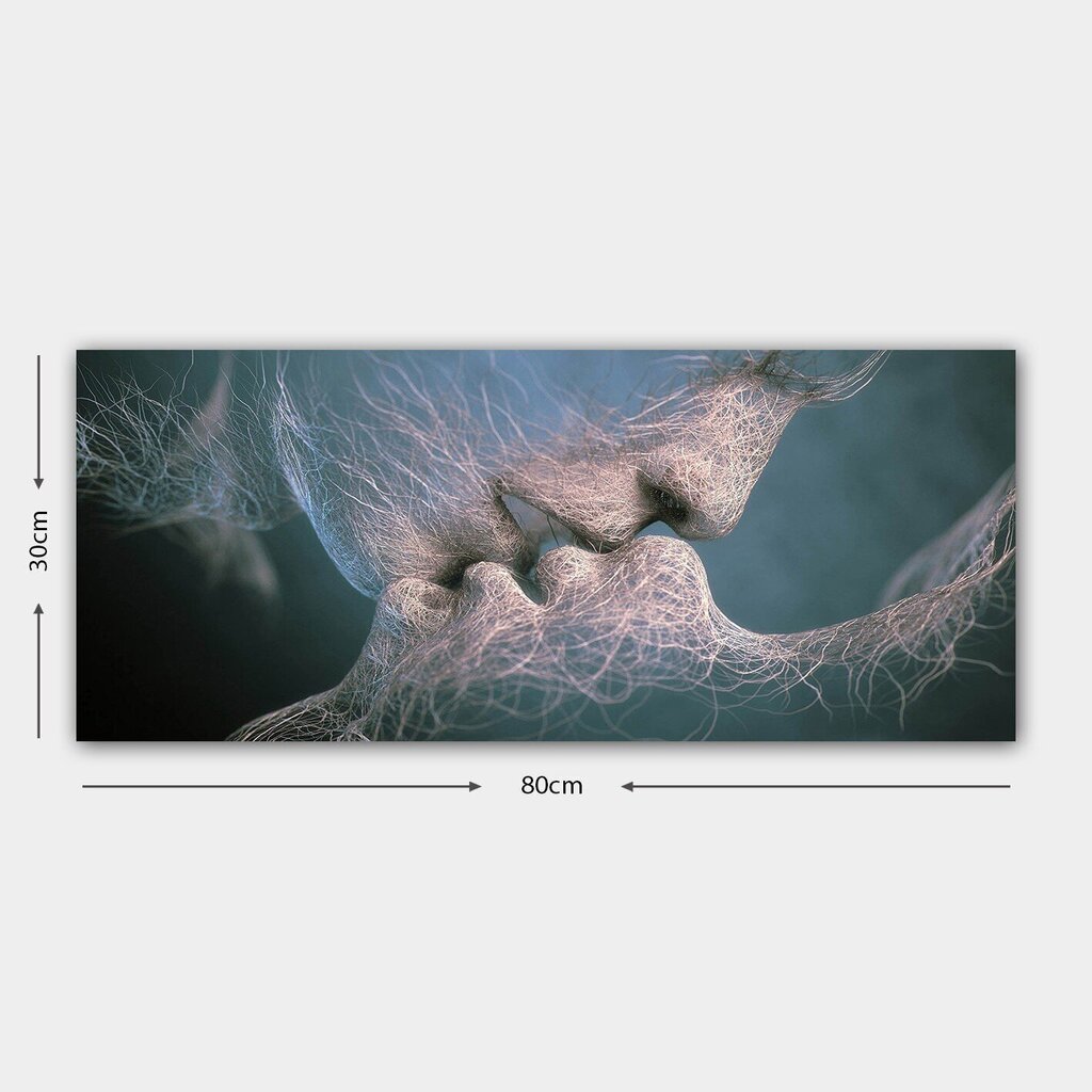 Reprodukcija uz audekla Skūpsts, 30x80 cm cena un informācija | Gleznas | 220.lv