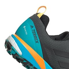 Pārgājienu zābaki vīriešiem Adidas Terrex Skychaser LT GTX M FX0148, grafīta/zili cena un informācija | Vīriešu kurpes, zābaki | 220.lv