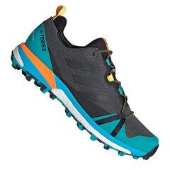 Мужские туристические ботинки, Adidas Terrex Skychaser LT GTX M FX0148 графит/синий цена и информация | Мужские ботинки | 220.lv