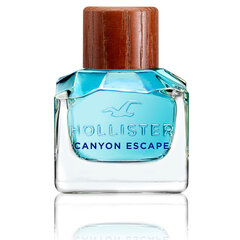 Мужская парфюмерия Canyon Escape Hollister EDT: Емкость - 50 ml цена и информация | Мужские духи | 220.lv