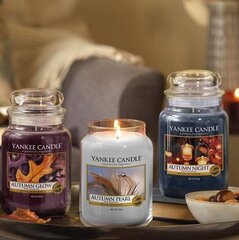 Ароматическая свеча Yankee Candle Autumn Pearl 104 г цена и информация | Подсвечники, свечи | 220.lv