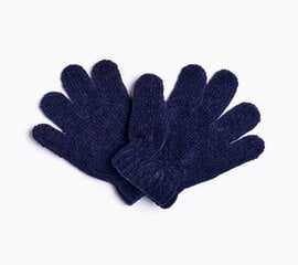 Детские перчатки цена и информация | Шапки, перчатки, шарфы для мальчиков | 220.lv