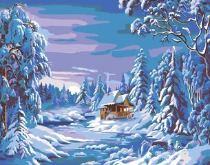 Glezna pēc numuriem "Dziļa ziema" 40x50G цена и информация | Живопись по номерам | 220.lv