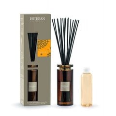 ESTEBAN Mājas aromāts "AMBRE" 75ml cena un informācija | Mājas aromāti | 220.lv