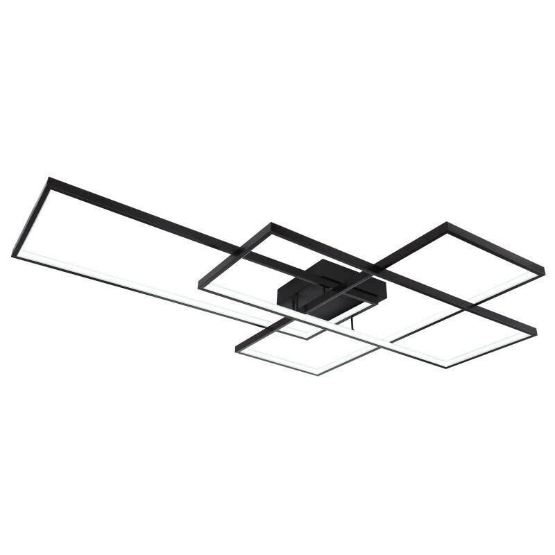 Griestu lampa Globo Lighting GABRIEL G67227-100B цена и информация | Griestu lampas | 220.lv