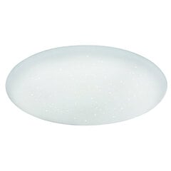 Потолочный светильник Globo Lighting Rena G48383-80 цена и информация | Потолочные светильники | 220.lv