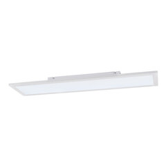 Griestu lampa Globo Lighting ROSI G41604D4F цена и информация | Потолочные светильники | 220.lv