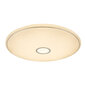 Griestu lampa Globo Lighting CONNOR G41386-80 cena un informācija | Griestu lampas | 220.lv