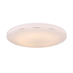 Потолочный светильник Globo Lighting Kalle G48408-60 цена и информация | Потолочные светильники | 220.lv