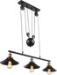 Griestu lampa Globo Lighting LENIUS G15053-3 cena un informācija | Lustras | 220.lv