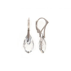 Серебряные серьги SAKA656518C цена и информация | Серьги | 220.lv