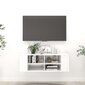 TV skapītis, balts, 102x35x35 cm цена и информация | TV galdiņi | 220.lv